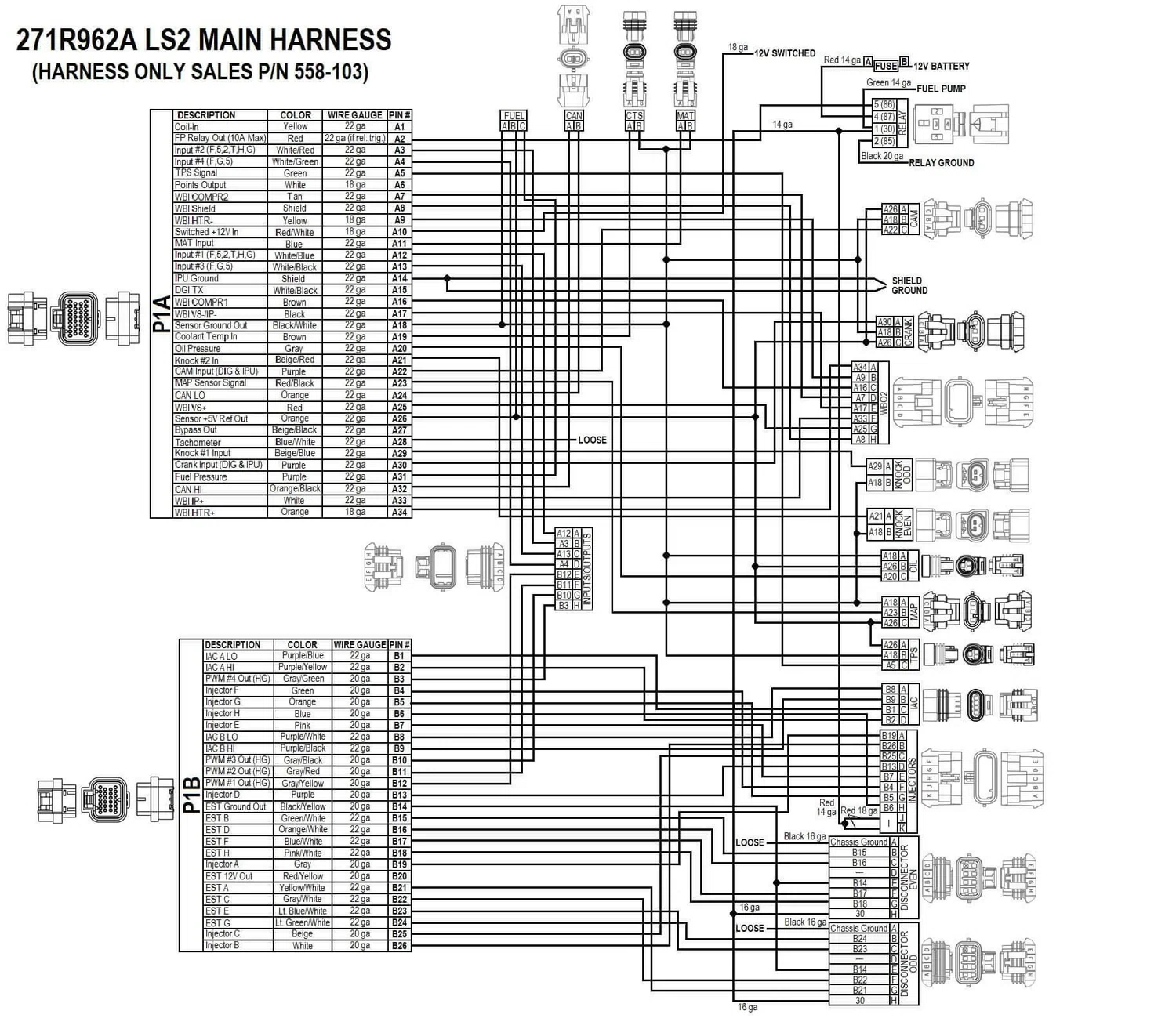 GM LS 58X EFI HARNESS KIT - 558-502